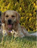 Zoe2020-02.jpg (178932 byte)