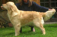 LOLA_30-04-06.JPG (1623373 byte)
