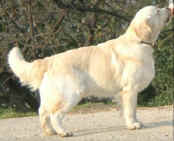 PEPE.JPG (48166 byte)