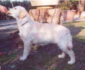 SUNNY.jpg (239660 byte)