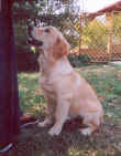 LOLA.jpg (472952 byte)