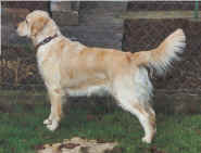 Trudy2.jpg (187040 byte)