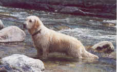 VICKY nel torrente.jpg (750272 byte)