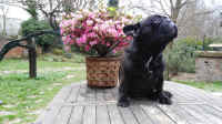flora ok.jpg (4023682 byte)