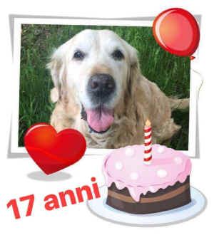 Becky17anni 2020.jpg (95634 byte)