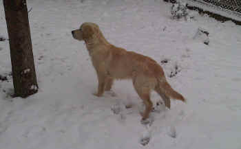 barney04.jpg (245935 byte)