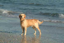 PACOa14mesi-3.jpg (93485 byte)