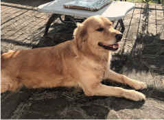 Peggy2024-01.jpg (500514 byte)