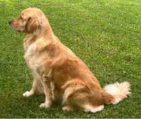 Peggy2024-02.jpg (454566 byte)