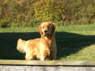 RUBYa10mesi.jpg (228486 byte)