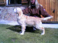 Sky01.jpg (40148 byte)